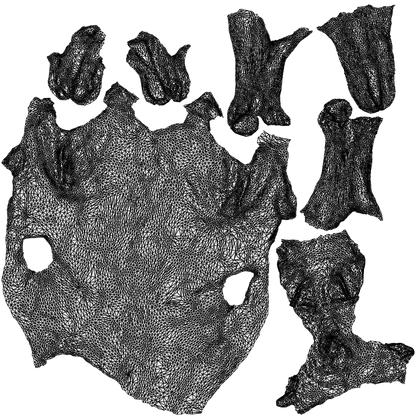 scanned 3D person misc, photogrammetry people for Enscape and V-Ray, wireframe top-down view