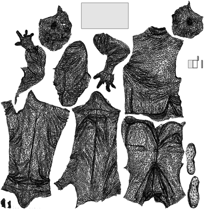 3D people model man business, scanned human for 3ds Max rendering, wireframe top-down view