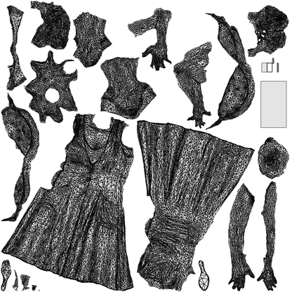 photogrammetry 3D woman casual walking, realistic human model archviz FBX, wireframe top-down view