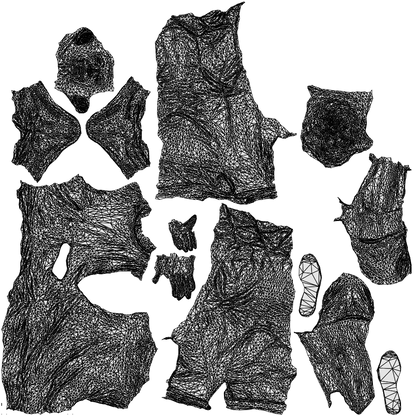 3D human model senior man casual standing, photogrammetry scanned person for archviz, wireframe top-down view