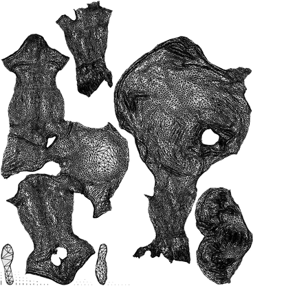 realistic 3D people man sport, render-ready for V-Ray and Corona, FBX OBJ, wireframe top-down view