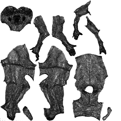 photogrammetry 3D man pool, realistic human model archviz FBX, wireframe top-down view