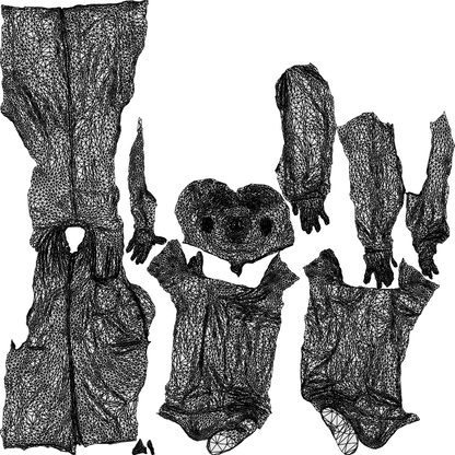 3D people model man medical, scanned human for 3ds Max rendering, wireframe top-down view