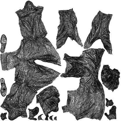 3D people model woman casual cycling, scanned human for 3ds Max rendering, wireframe top-down view
