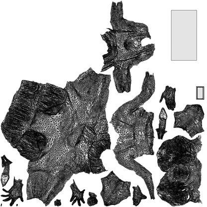 photogrammetry 3D woman casual sitting, realistic human model archviz FBX, wireframe top-down view