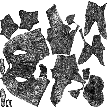photogrammetry 3D man formal formalaffairs, realistic human model archviz FBX, wireframe top-down view