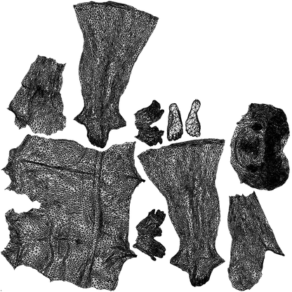3D human model man bathroom, photogrammetry scanned person for archviz, wireframe top-down view