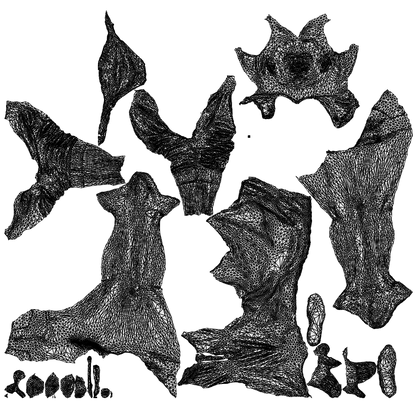 scanned 3D woman casual cycling, photogrammetry people for Enscape and V-Ray, wireframe top-down view