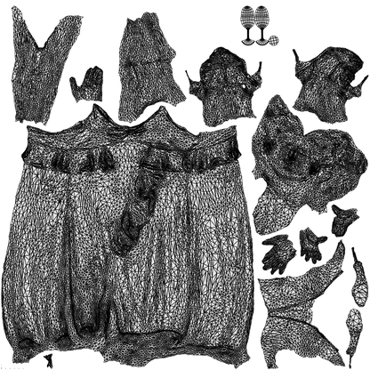 3D people model woman formal formalaffairs, scanned human for 3ds Max rendering, wireframe top-down view