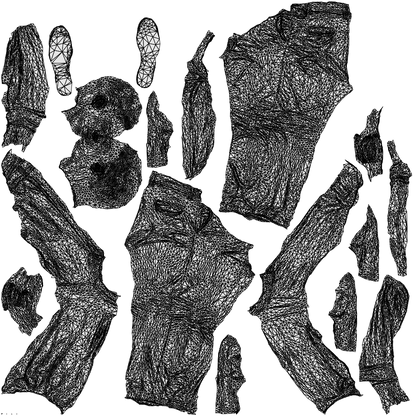 3D people model man casual standing, scanned human for 3ds Max rendering, wireframe top-down view