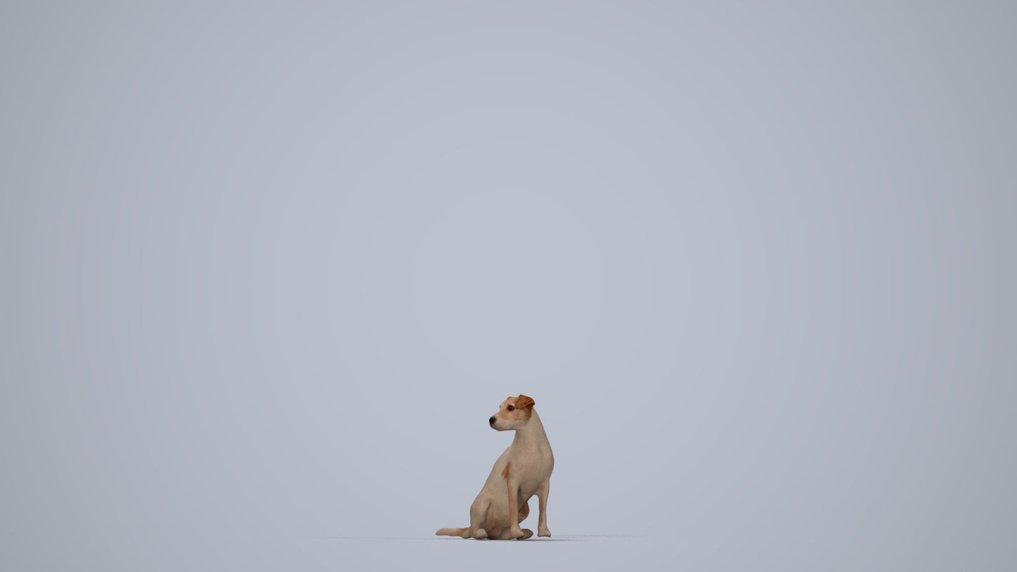 scanned 3D person misc, photogrammetry people for Enscape and V-Ray, top-down view render