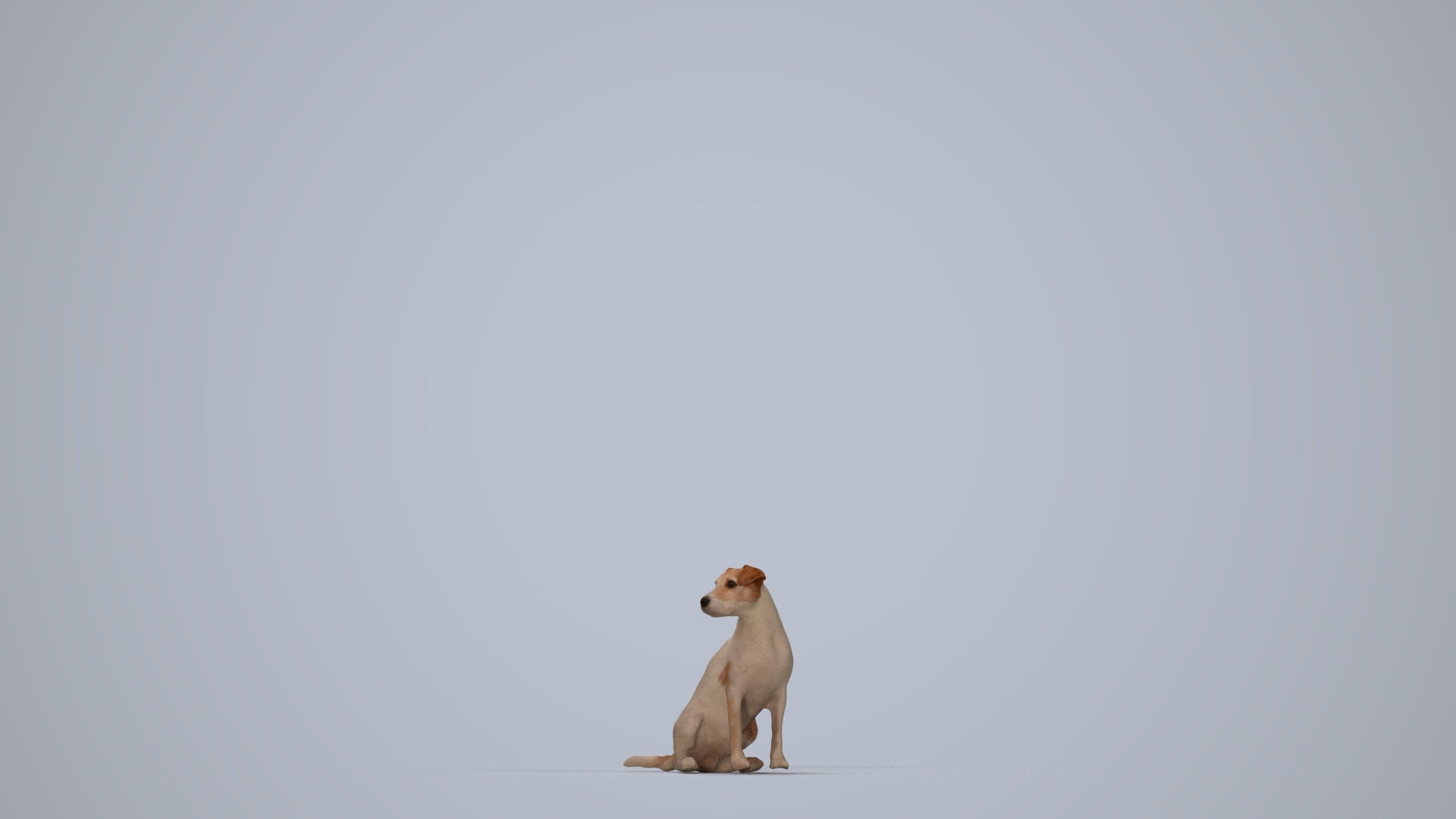 scanned 3D person misc, photogrammetry people for Enscape and V-Ray, top-down view render