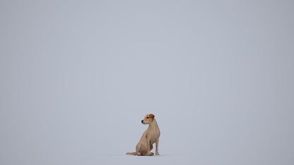 scanned 3D person misc, photogrammetry people for Enscape and V-Ray, top-down view render