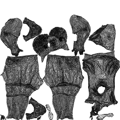 realistic 3D human man sport, archviz people FBX OBJ for Blender, wireframe top-down view