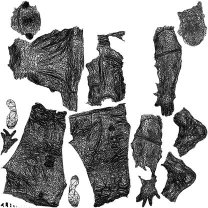3D human model man casual standing, photogrammetry scanned person for archviz, wireframe top-down view