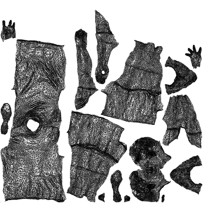 realistic 3D people man sport, render-ready for V-Ray and Corona, FBX OBJ, wireframe top-down view