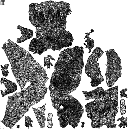 realistic 3D woman casual sitting, scanned archviz people for Blender and 3ds Max, wireframe top-down view