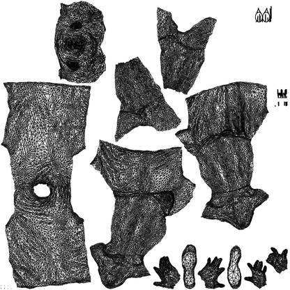 photogrammetry 3D man sport, realistic human model archviz FBX, wireframe top-down view