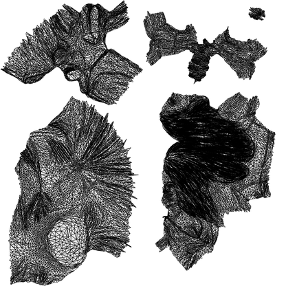 scanned 3D woman business formal, photogrammetry people for Enscape and V-Ray, wireframe top-down view
