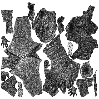 realistic 3D people woman casual walking, render-ready for V-Ray and Corona, FBX OBJ, wireframe top-down view