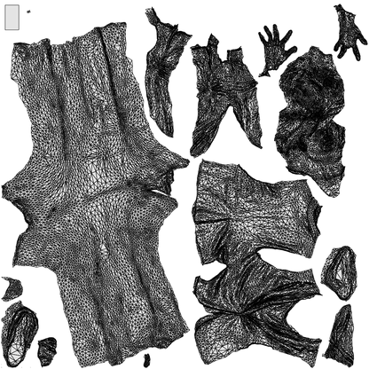3D human model woman business, photogrammetry scanned person for archviz, wireframe top-down view