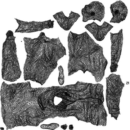 realistic 3D people man casual cycling, render-ready for V-Ray and Corona, FBX OBJ, wireframe top-down view