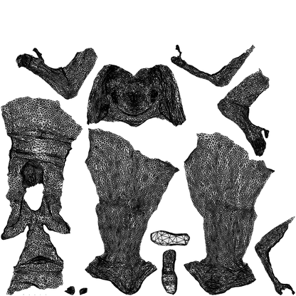 scanned 3D woman sport, photogrammetry people for Enscape and V-Ray, wireframe top-down view