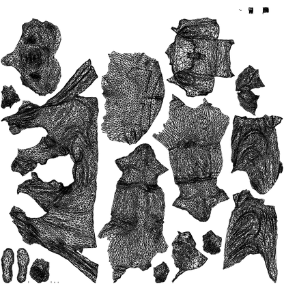 photogrammetry 3D woman casual cycling, realistic human model archviz FBX, wireframe top-down view