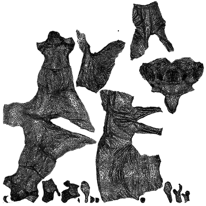 3D scanned woman cycling casual, photorealistic archviz people for Enscape and SketchUp, wireframe top-down view