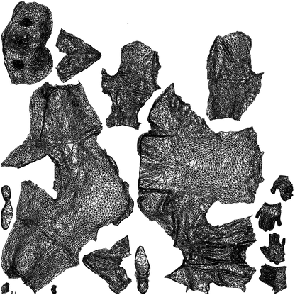 scanned 3D man business, photogrammetry people for Enscape and V-Ray, wireframe top-down view