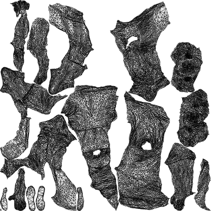 3D people model senior woman casual couple, scanned human for 3ds Max rendering, wireframe top-down view