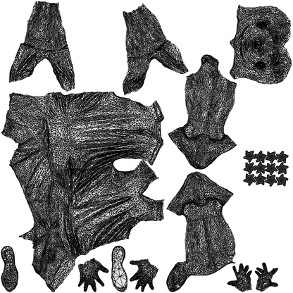 scanned 3D man sport, photogrammetry people for Enscape and V-Ray, wireframe top-down view