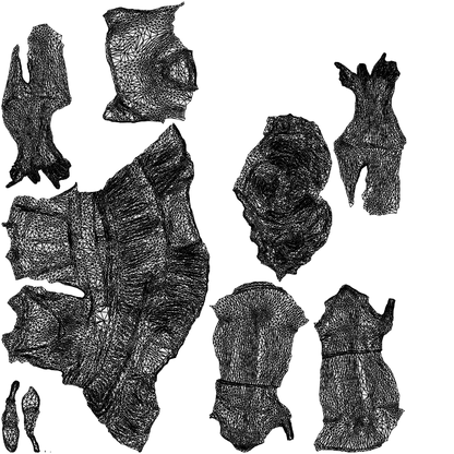 3D people model woman casual sitting, scanned human for 3ds Max rendering, wireframe top-down view