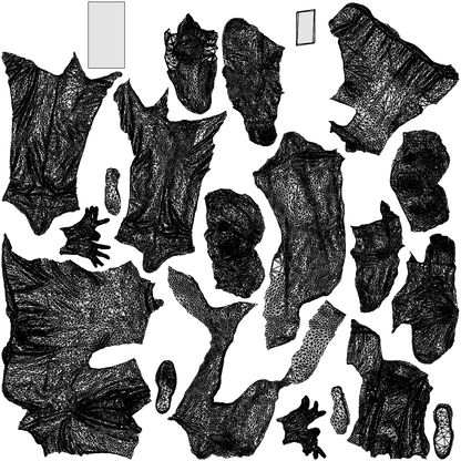 photogrammetry 3D woman business, realistic human model archviz FBX, wireframe top-down view