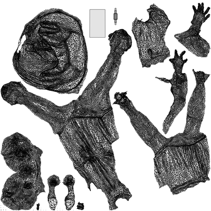 3D people model woman casual walking, scanned human for 3ds Max rendering, wireframe top-down view