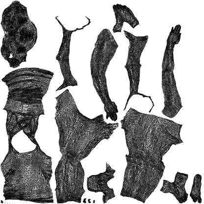 realistic 3D people woman sport, render-ready for V-Ray and Corona, FBX OBJ, wireframe top-down view