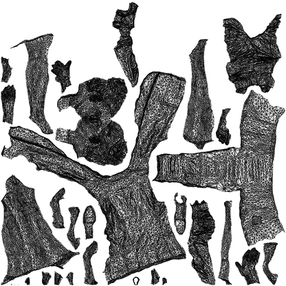 3D human model woman business, photogrammetry scanned person for archviz, wireframe top-down view