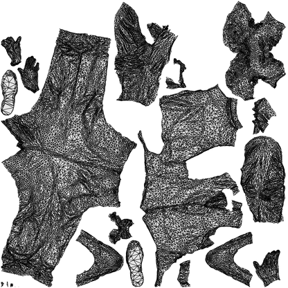 3D people model man hospitality, scanned human for 3ds Max rendering, wireframe top-down view