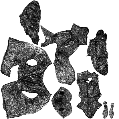 realistic 3D people senior man business, render-ready for V-Ray and Corona, FBX OBJ, wireframe top-down view