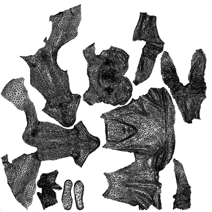 realistic 3D people woman casual sitting, render-ready for V-Ray and Corona, FBX OBJ, wireframe top-down view