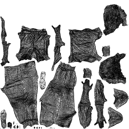 realistic 3D people woman casual walking, render-ready for V-Ray and Corona, FBX OBJ, wireframe top-down view