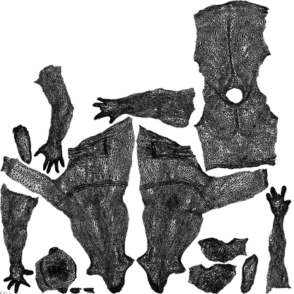 3D human model man pool, photogrammetry scanned person for archviz, wireframe top-down view
