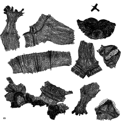 scanned 3D woman casual pool, photogrammetry people for Enscape and V-Ray, wireframe top-down view