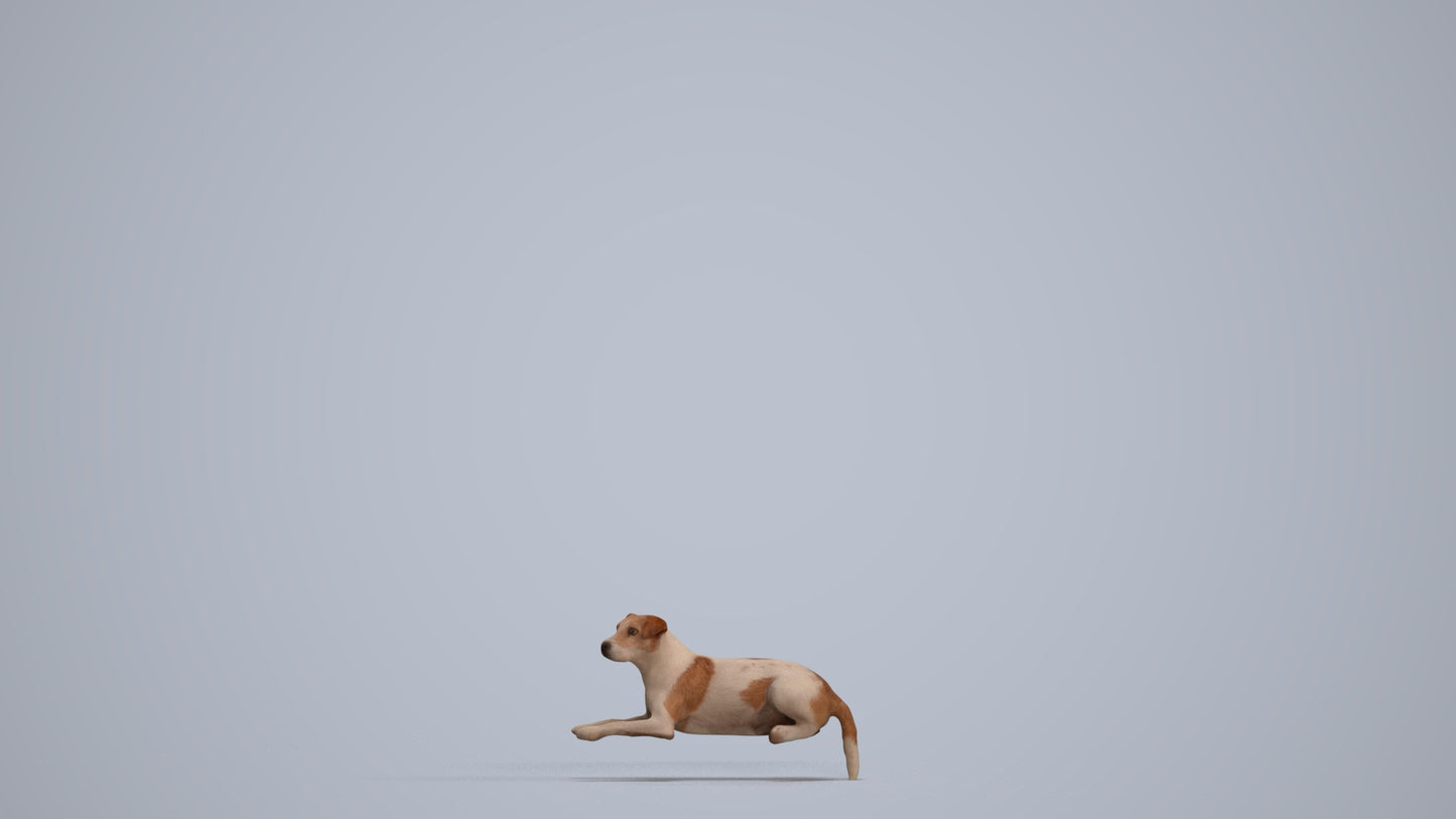 3D human model person casual misc, photogrammetry scanned person for archviz, standing pose render