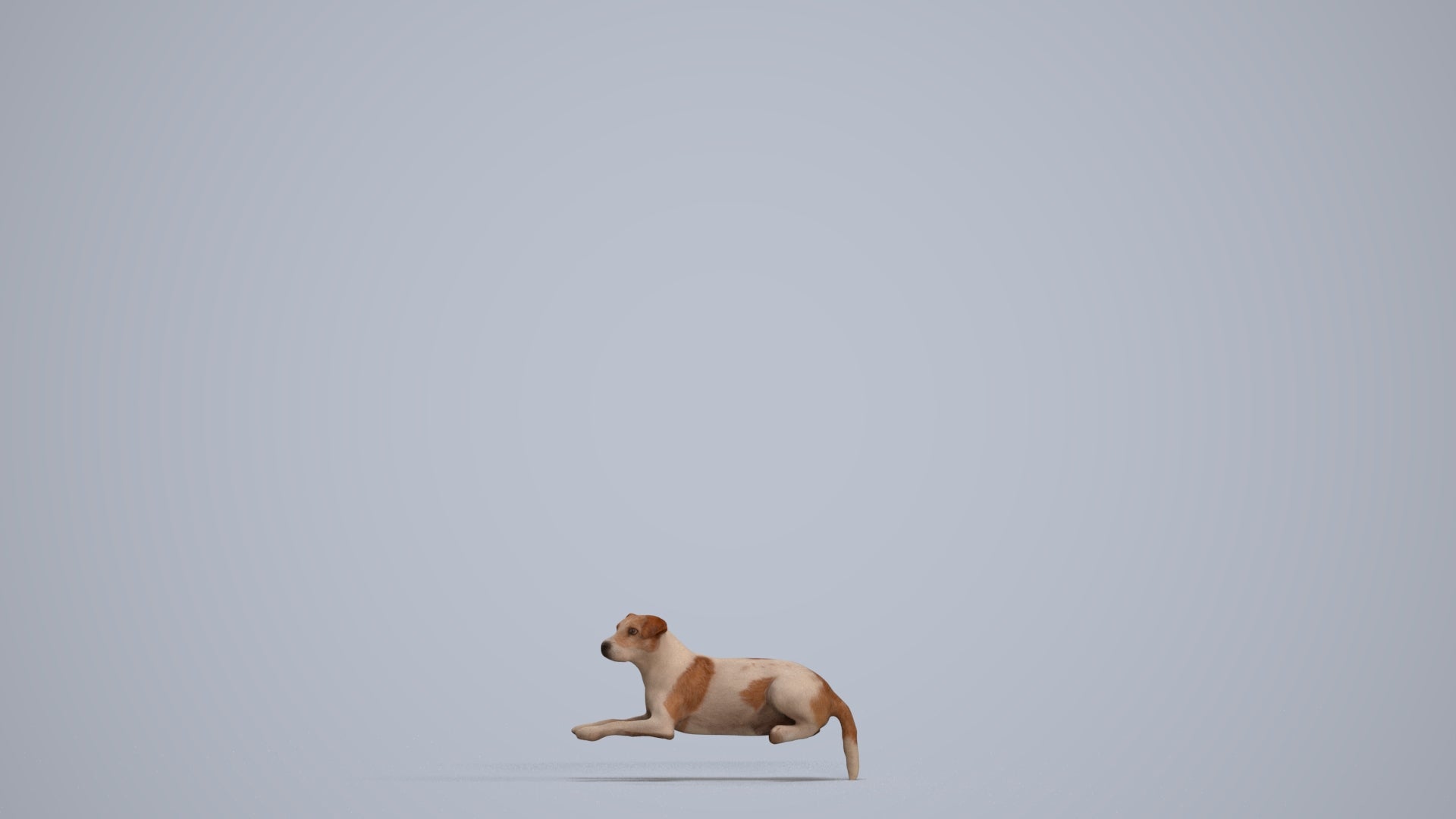 3D human model person casual misc, photogrammetry scanned person for archviz, standing pose render