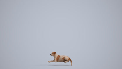 3D human model person casual misc, photogrammetry scanned person for archviz, standing pose render