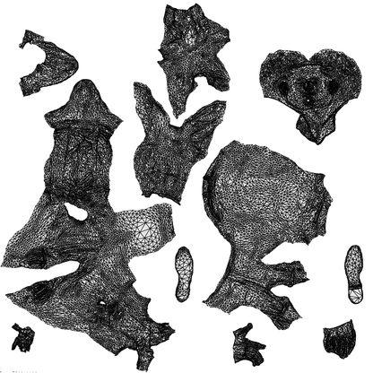 realistic 3D man business, scanned archviz people for Blender and 3ds Max, wireframe top-down view