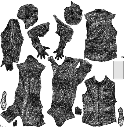 3D scanned man walking business, photorealistic archviz people for Enscape and SketchUp, wireframe top-down view