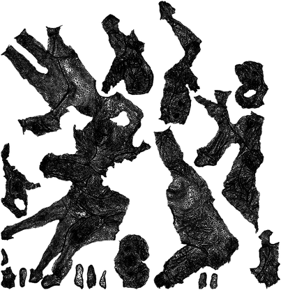 3D people model girl kids, scanned human for 3ds Max rendering, wireframe top-down view