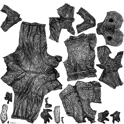 realistic 3D man business, scanned archviz people for Blender and 3ds Max, wireframe top-down view